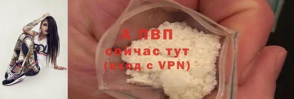 тгк Балахна