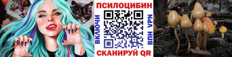 Псилоцибиновые грибы прущие грибы дарнет шоп Верхоянск